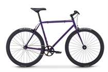 Fuji Declaration Purple 2020